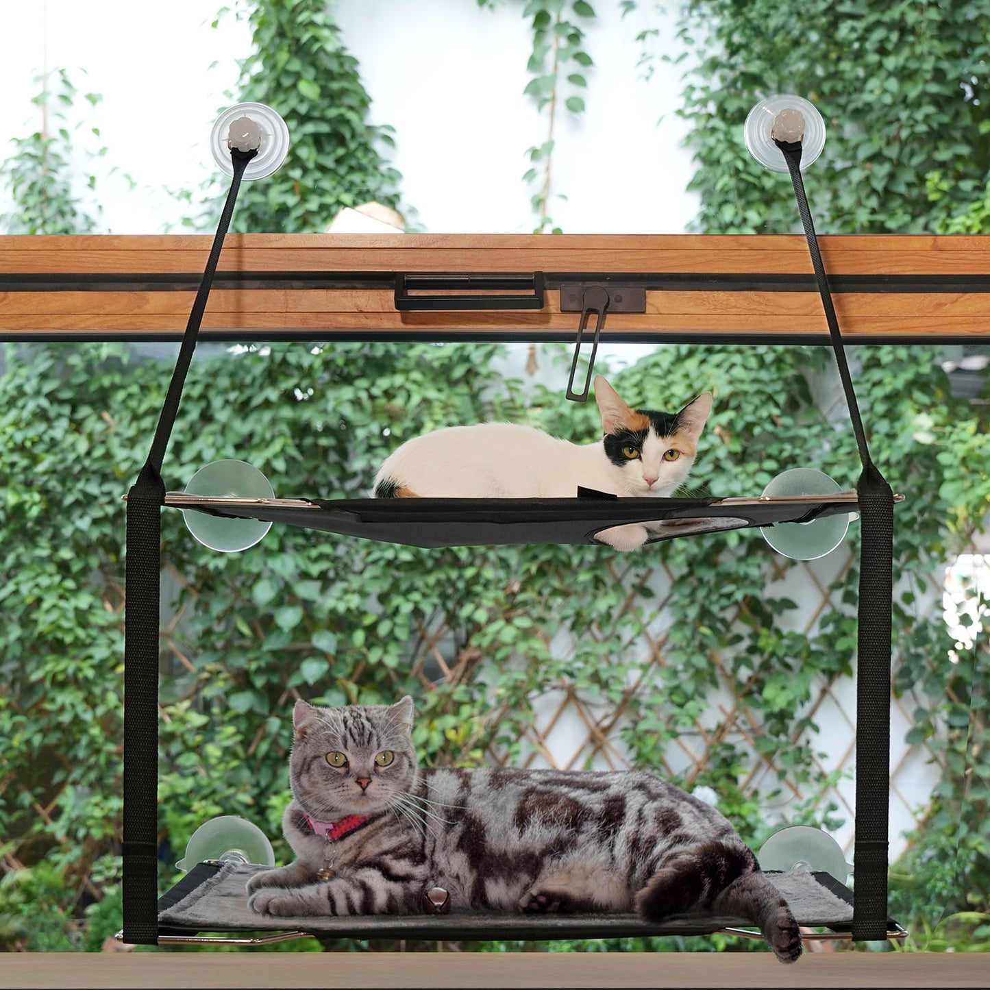 LIFIS Double-Deck Cat Window Perch Up to 55lb Folding Cat Bed for Window Hammock Metal Frames Soft Mats Sunny Seat